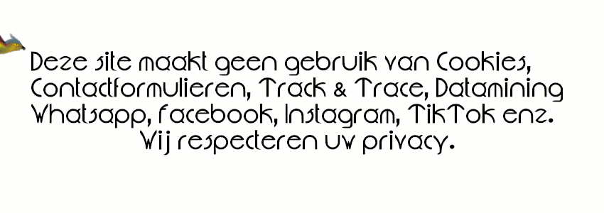 animatie free as a bird