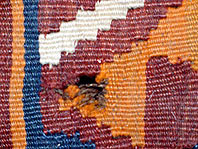 Reparatie turks tapijt